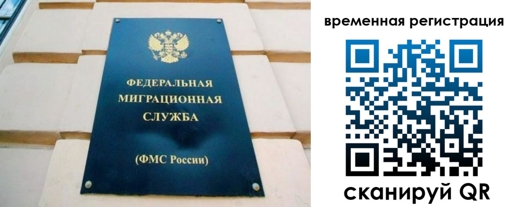 прописка гарантия в Нелидово