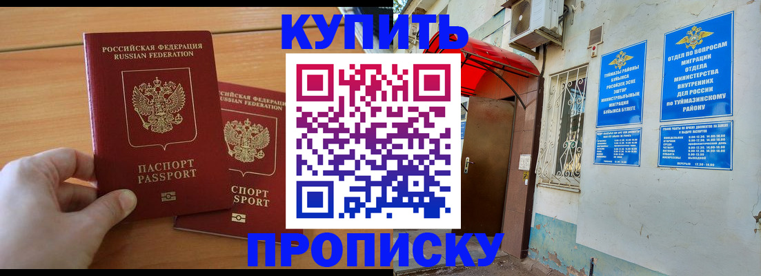 прописка штамп в Нелидово